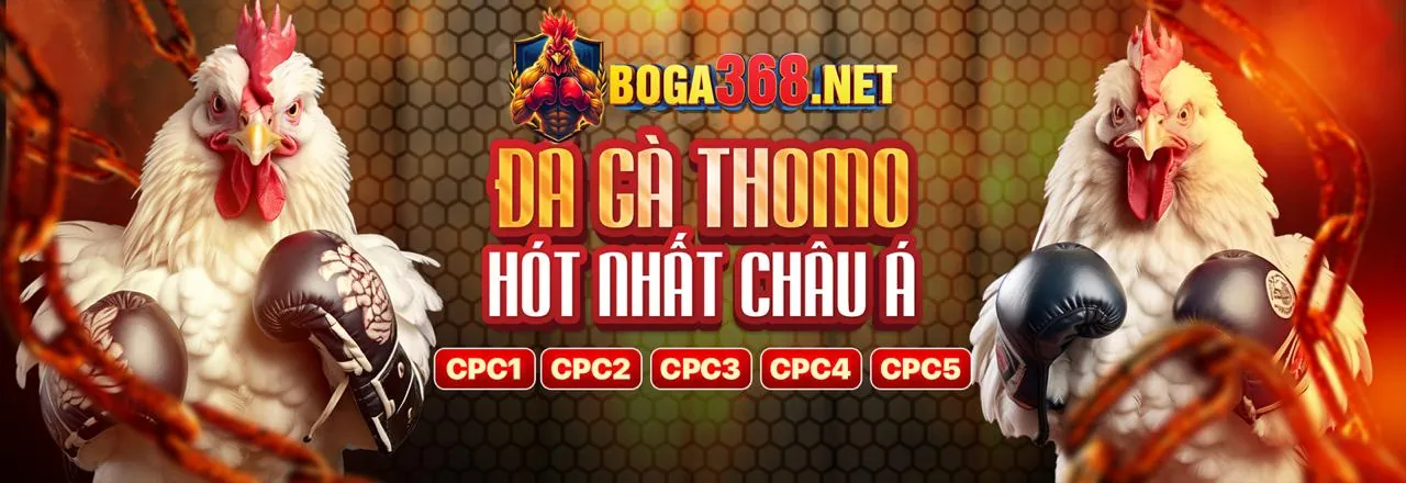 Hình ảnh đại diện cho Điều khoản và Điều kiện của 888new web